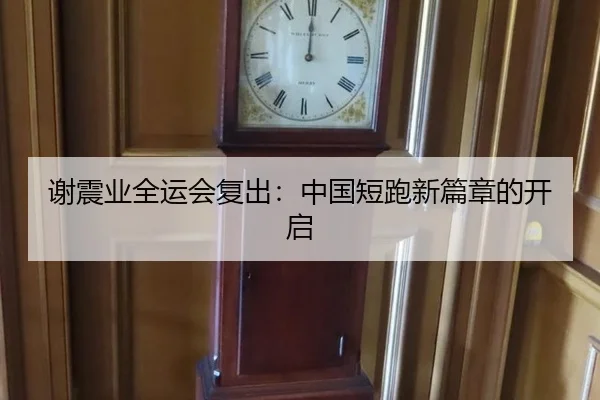 谢震业全运会复出：中国短跑新篇章的开启