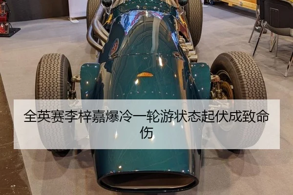 quan-ying-sai-li-zi-jia-bao-leng-yi-lun-you-zhuang-tai-qi-fu-cheng-zhi-ming-shang-2-218.jpg