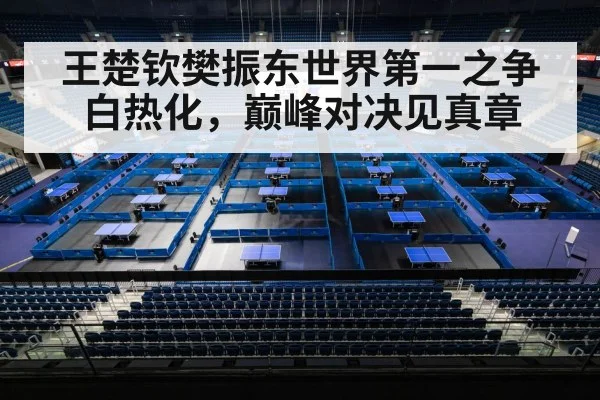 王楚钦樊振东世界第一之争白热化，巅峰对决见真章