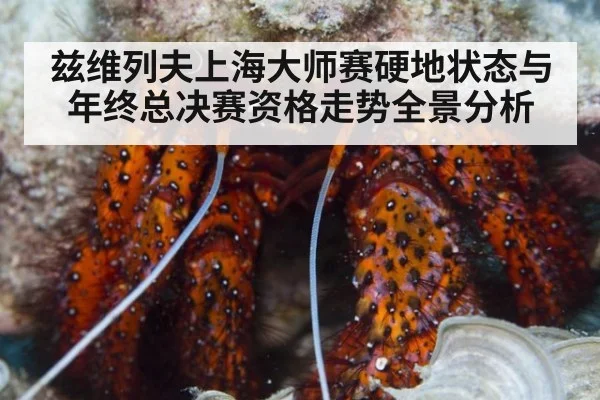 兹维列夫上海大师赛硬地状态与年终总决赛资格走势全景分析